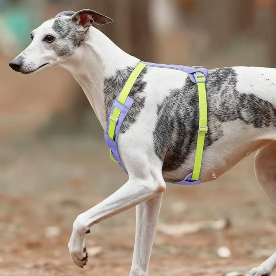 New Pet Dog Harness Light Weig - đánh giá và giá Crossfit Vest